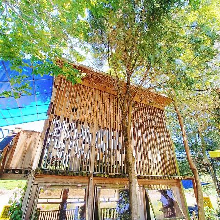 Fun星空謐境 埔里包棟民宿 烤肉麻將自然園區 Kültér fotó